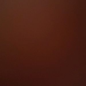 Meet your Posher, Hillel